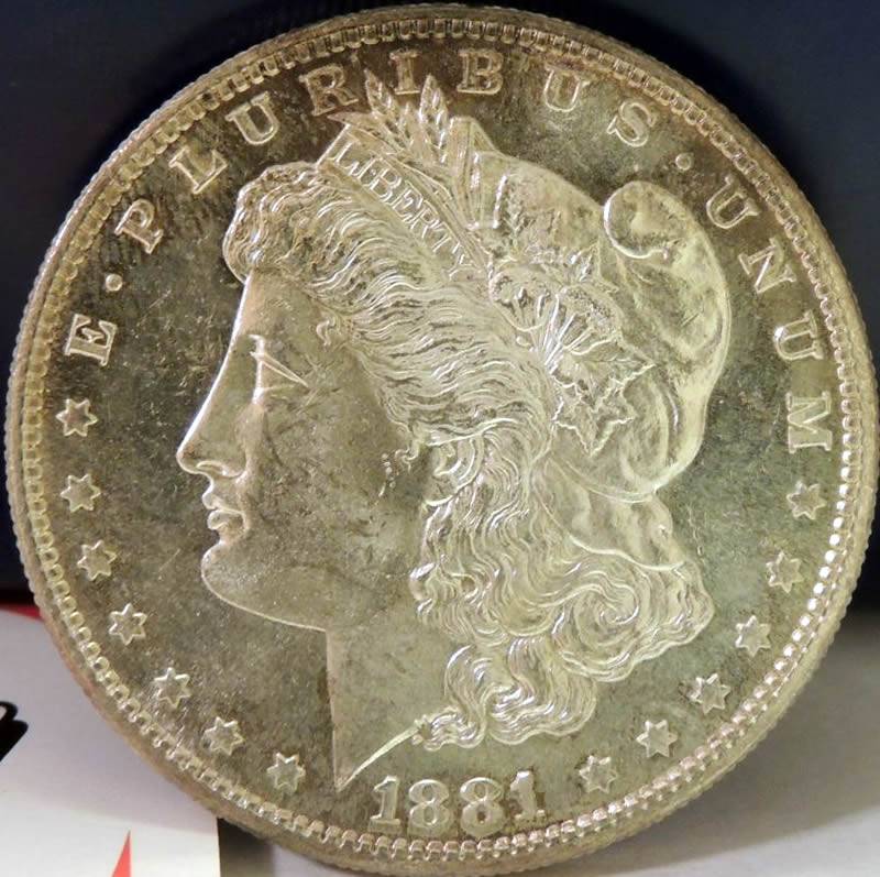 1881-S-Possible-DMPL/Pl?